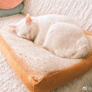 ที่นอนแมวขนมปัง เบาะรองนอนแมว ที่นอนสุนัข รูปทรงขนมปังสุดน่ารัก  เบาะสัตว์เลี้ยง ที่นอนแมว ที่นอนสัตว์เลี้ยง