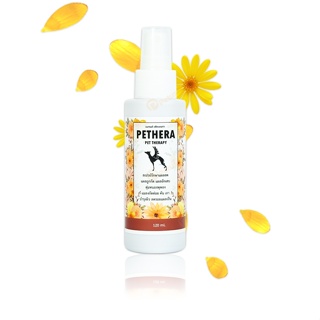 ภาพหน้าปกสินค้าสเปรย์รักษาแผลสัตว์ แผลสด แผลอักเสบ บำรุงผิว ลดรอยแผลเป็น สำหรับสัตว์เลี้ยง ขนาด 120 ml. Pethera Spray DogCage ที่เกี่ยวข้อง