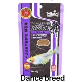 Medaka dance breeding