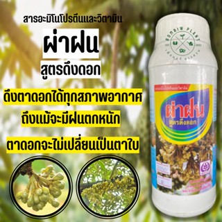 ผ่าฝน สูตรดึงดอก (ขนาด 1 ลิตร) สำหรับเปิดตาดอก ดึงตาดอกได้ทุกสภาพอากาศ ถึงเเม้จะมีฝนตกหนักตลอด ตาดอกจะไม่เป็นตาใบ