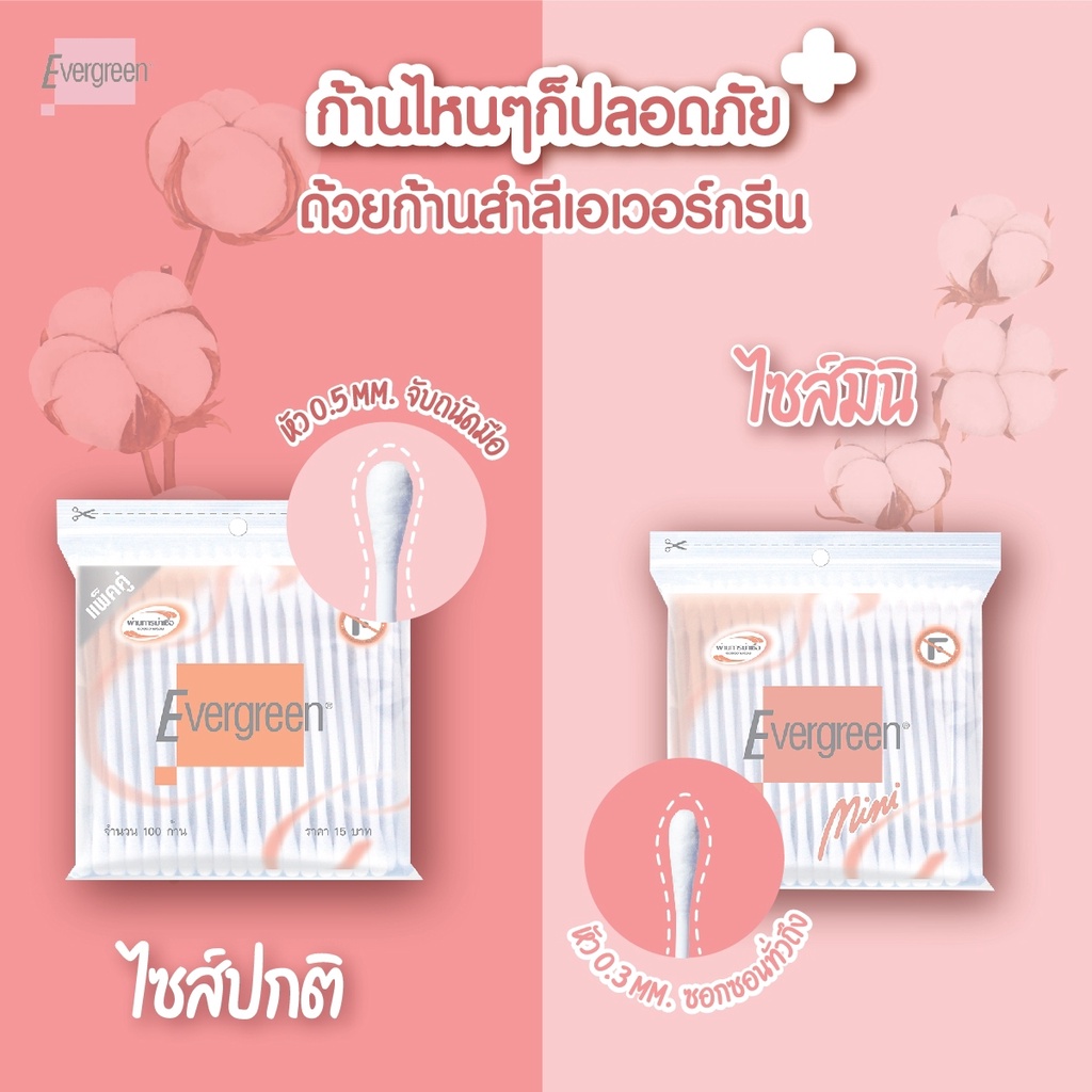 ขายยกแพ็ค-เอเวอร์กรีน-สำลีก้านมินิ-100-ก้านถุง-แพ็ค-12-ชิ้น-evergreen-cotton-bud-mini-100-pcs-pack-12