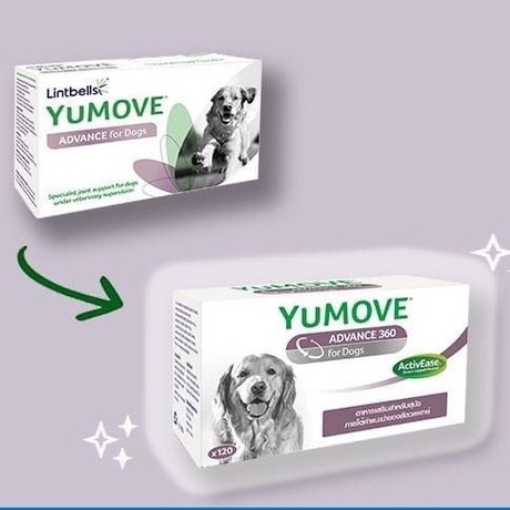 ภาพหน้าปกสินค้าYumove advance 360 Dog (สูตรใหม่) หมดอายุ 08/2024 อาหารเสริมบำรุงข้อ กระดูก ทำจากธรรมชาติ จากร้าน n.cham24 บน Shopee
