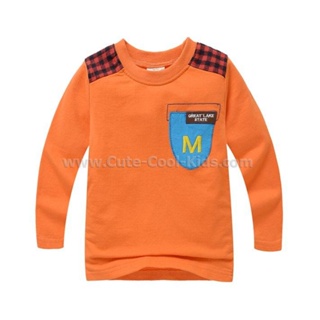 TLB-650 เสื้อแขนยาวเด็กชาย sweater เด็กสีส้ม tlb-Size-100