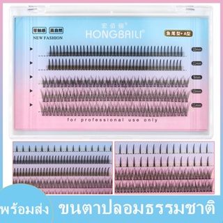 ภาพหน้าปกสินค้าDSmile ขนตาปลอม ขนตาถาวร ขนตาปลอมธรรมชาติ ชุดขนตาปลอม ที่เกี่ยวข้อง