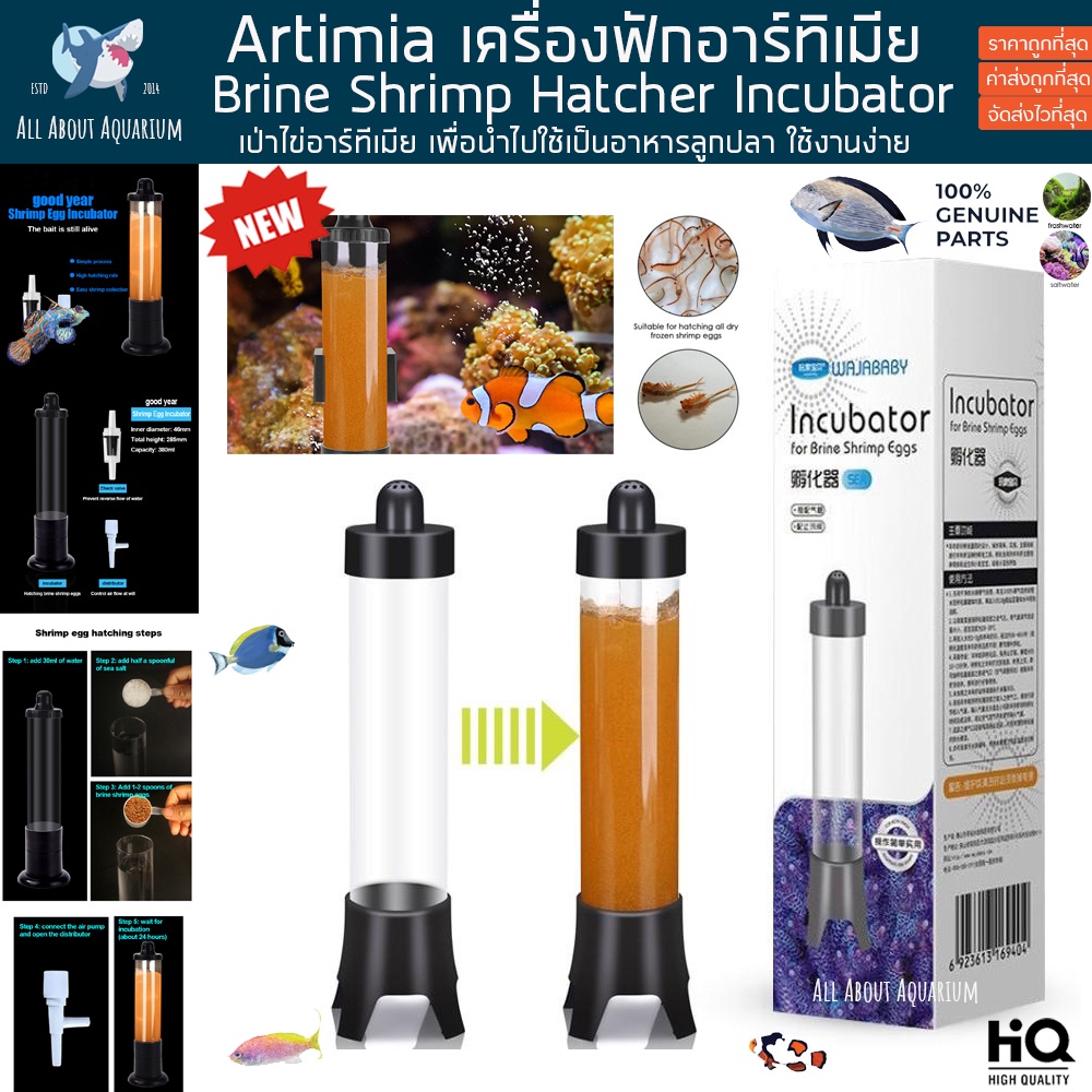 wajababy-เครื่องเป่าอาร์ทีเมีย-ฟักอาร์ทีเมีย-incubator-brine-shrimp-eggs-อาทิเมีย-อาร์ทีเมีย-ไข่อาทีเมีย-artimia-ปลา