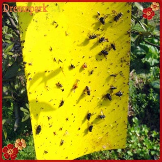 ซื้อ 20 KEPING Strong Sticky Flies Traps Bugs Catching Double Side Traps 20*10cm
