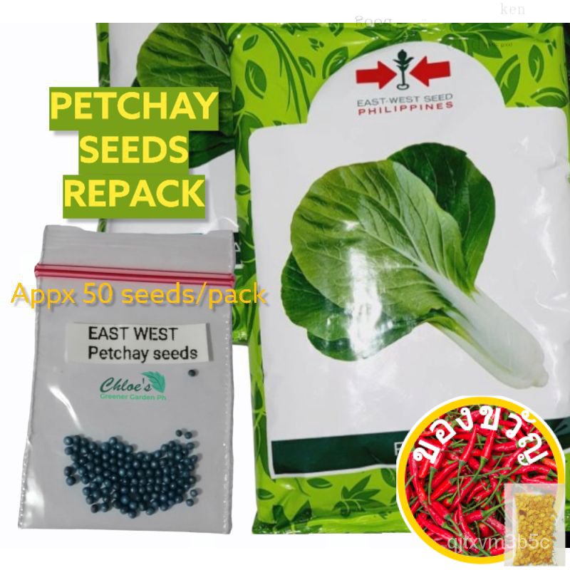 Petchay Seeds Repack EastWest Engine/ ดอกไม้/หมวก/แอปเปิ้ล/สวน/แอปเปิ้ล ...