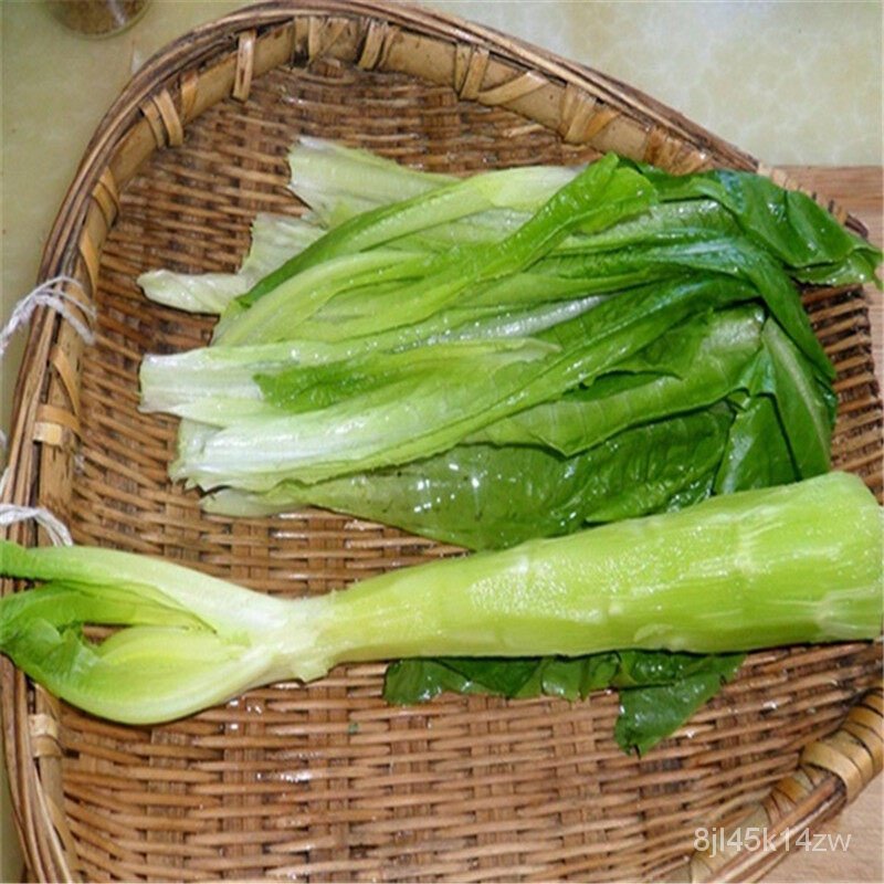 คุณภาพสูง-เมล็ด-ของแท้-100-จัดส่งในพื้นที่-200-เมล็ด-asparagus-lettuce-seeds-เมล็ดพันธุ์ผัก-ง่าย-ปลูก-สวนครัว-ขายดี-a