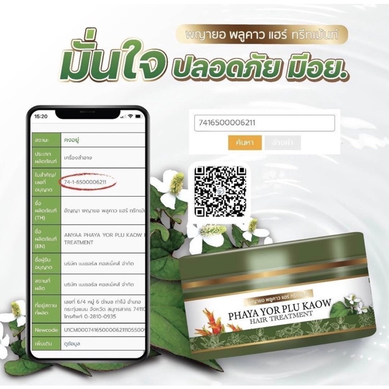 ทรีทเมมต์-พญายอพลูคาว-แก้คัน-เชื้อรา-กลากเกลื้อน-ผมร่วง-ของแท้จากบริษัท