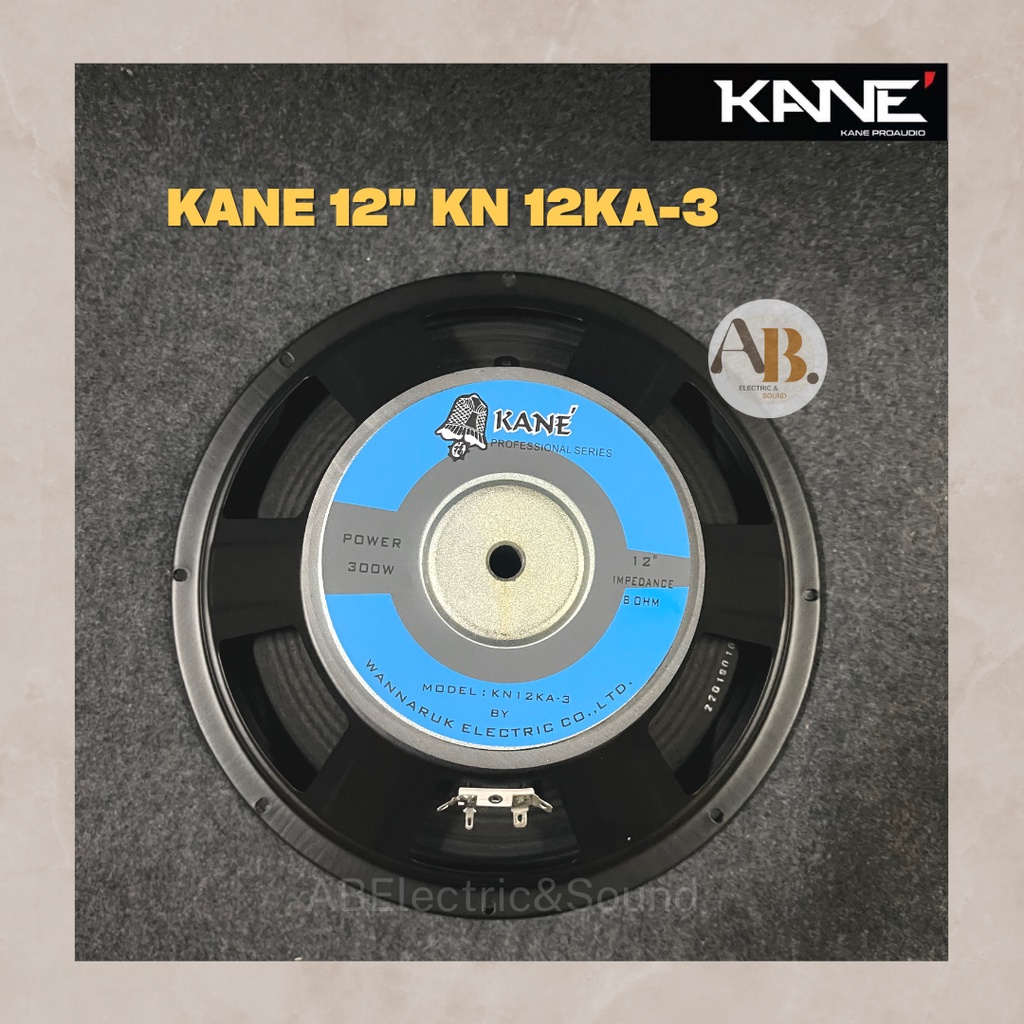 ดอกลำโพง-12-kane-kn-12ka-3-ดอกลำโพง-12นิ้ว-kane-kn-12ka3