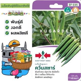 ผลิตภัณฑ์ใหม่ เมล็ดพันธุ์ เมล็ดพันธุ์คุณภาพสูงในสต็อกในประเทศไทย พร้อมส่ง ะให้ความสนใจของคุณSORNDAENG  ผักซอง ศ คล/ขา YR