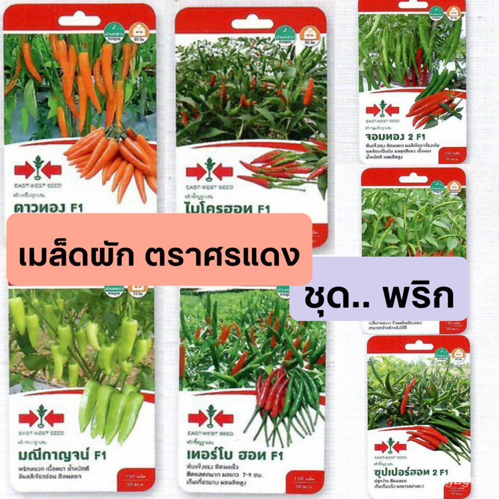 ผลิตภัณฑ์ใหม่-เมล็ดพันธุ์-เมล็ดพันธุ์คุณภาพสูงในสต็อกในประเทศไทย-พร้อมส่ง-ศรแดง-ชุดพริก-ผักซองศรแดง-เมล็ดอวบอ-สวนครัว