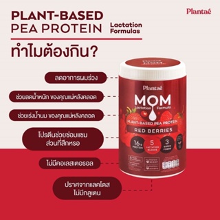 ภาพขนาดย่อของภาพหน้าปกสินค้าPlantae : MOM Protein 1 กระปุก รส Red Berries Plant Protien โปรตีนพืช สำหรับแม่ เพิ่มและกระตุ้นน้ำนม ลดน้ำหนัก โค้ด จากร้าน adsactions บน Shopee ภาพที่ 2