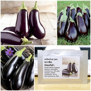 （คุณภาพสูง เมล็ด）เมล็ดพันธุ์ มะเขือฟลอริด้า (Florida Market Eggplant Seed) บรรจุ 100 เมล็ด คุณภาพดี ราคาถูก ของแ/ขายดี B