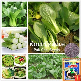 （คุณภาพสูง เมล็ด）เมล็ดพันธุ์ ผักเบบี้ฮ้องเต้ บรรจุ 200 เมล็ด Pak Choi Seeds Vegetable Seeds C/ง่าย ปลูก สวนครัว /ขายดี H