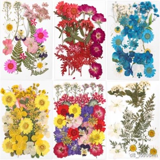 1 Pack DIY Dried Flowers Dry Plants Resin Mold Fillings UV Epoxy Flower for Nail Art Pressed Flowers Home Decor Handicra