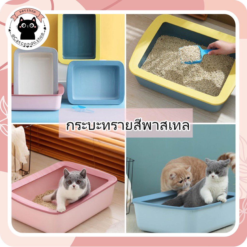 ภาพหน้าปกสินค้า️กระบะทราย ห้องน้ำแมว ที่ตักทราย กระบะทรายแมว กระบะ2สี ️