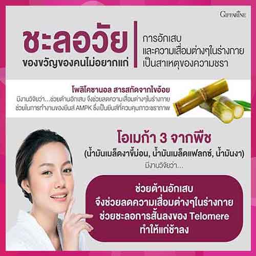 giffarineโคซานอลมัลติแพลนท์โอเมก้า3ออยล์10เม็ดขนาดกระทัดรัด-หุ่นสวยผิวใส-จำนวน1กล่อง-รหัส83082-บรรจุ10เม็ด-aporn