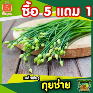 （คุณภาพสูง เมล็ด）เมล็ดกุ้ยฉ่าย เมล็ดพันธุ์กุ้ยฉ่าย ปลูกง่าย เมล็ดผักสวนครัว เมล็ดพันธุ์แท้ สามารถทำพ/ง่าย ปลูก ส/ดอก AJN