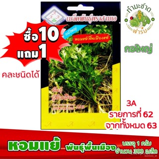 ผลิตภัณฑ์ใหม่ เมล็ดพันธุ์ 2022[10แถม1] 3A เมล็ดอวบอ้วน หอมแย้ 300 เมล็ด กลิ่นหอม กอใหญ่ เมล็ดอวบอ้วนสามเอ Coria คล/เ 0CW