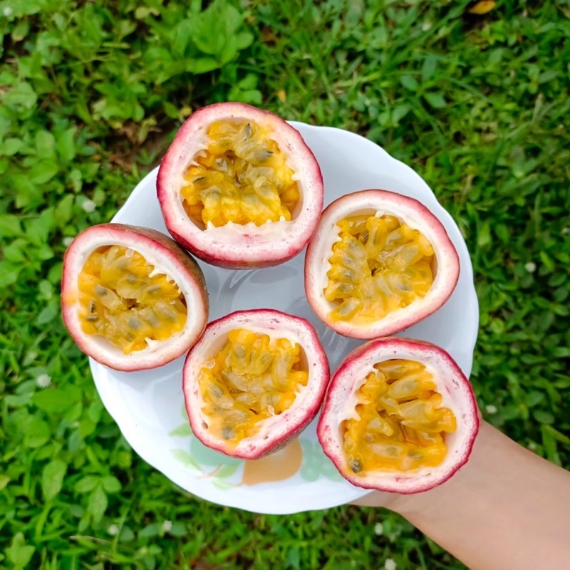 กล่อง-5-กก-เสาวรสหวานอมเปรี้ยว-พันธุ์ไทนุง-เก็บใหม่สดจากสวนเชียงราย-passion-fruit-หวานอมเปรี้ยว