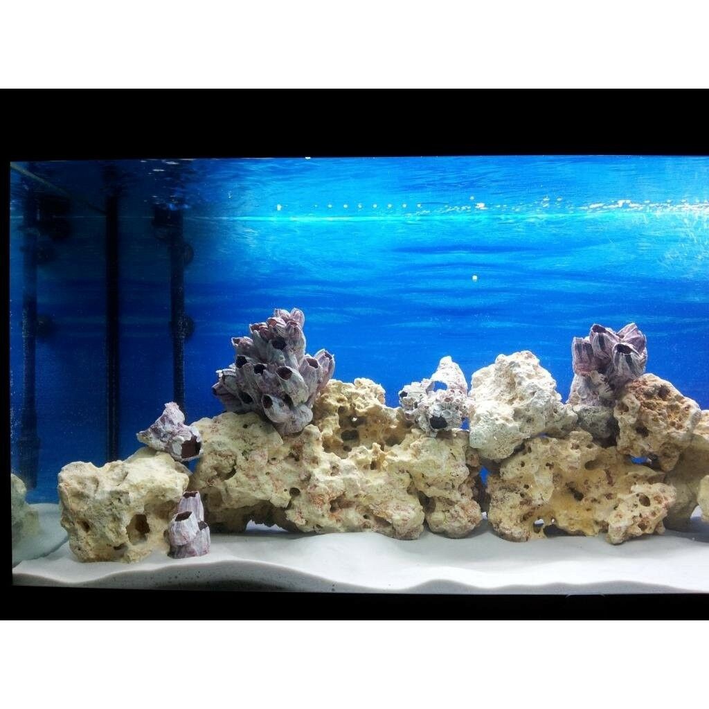 marine-sources-quartz-sand-5-kg-ทรายตู้ปลา-ทรายตู้ทะเล-ทรายเลี้ยงปะการัง-reef-tank-marine-fish-ปลาทะเล-ปะการัง-ตู้ปลา