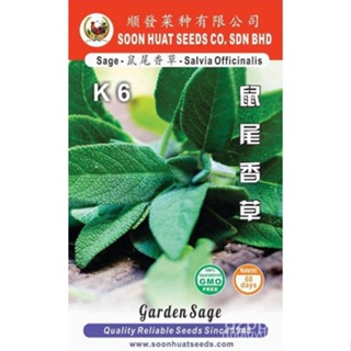 ผลิตภัณฑ์ใหม่ เมล็ดพันธุ์ จุดประเทศไทย ❤Soon Huat Sage Seeds K6 300 seeds Benih Herba Sageเมล็ดอวบอ้วน 100% รอค /ดอก ECX