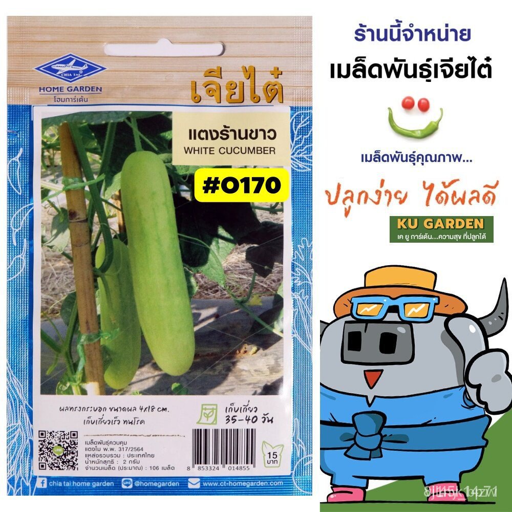 ผลิตภัณฑ์ใหม่-เมล็ดพันธุ์-จุดประเทศไทย-เมล็ดพันธุ์chiatai-ผักซอง-เจียไต๋-แตงร้านขาว-o170-ประมาณ-85-เมล็ด-เมล็-ขายด-im
