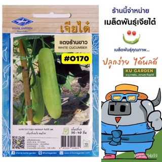 ผลิตภัณฑ์ใหม่ เมล็ดพันธุ์ จุดประเทศไทย ❤เมล็ดพันธุ์CHIATAI  ผักซอง เจียไต๋ แตงร้านขาว O170  ประมาณ 85 เมล็ด เมล็/ขายด IM