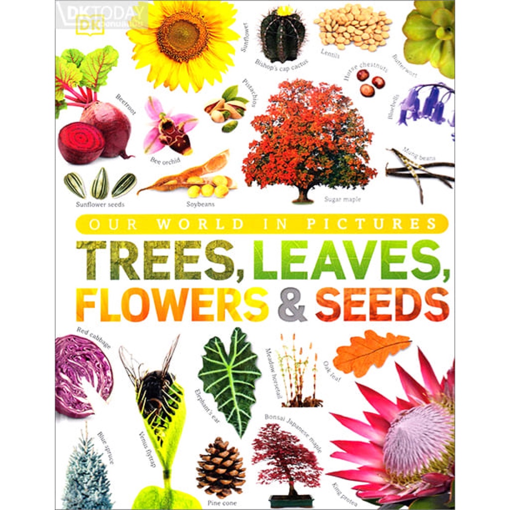 dktoday-หนังสือ-our-world-in-pictures-trees-leaves-flowers-amp-seeds-dorling-kindersley