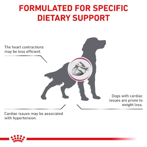 ภาพหน้าปกสินค้าอาหารสุนัข Royal Canin CARDIAC สำหรับสุนัขโรคหัวใจ 2 kg จากร้าน brave_pet_shop บน Shopee