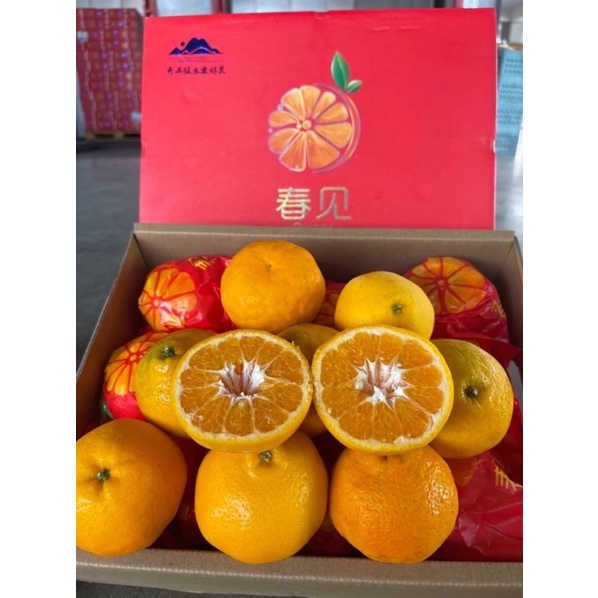 ส้มเดกาปอง-เดโกปอง-dekopon-orange