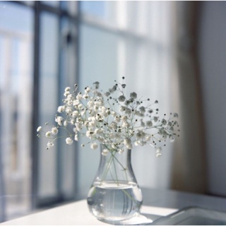 ดอกยิปโซดอกไม้แห้ง ใส่แจกัน ดอกไม้ตกแต่งงานฝีมือดอกยิปโซสีขาวพร็อพถ่ายรูป