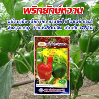 ผลิตภัณฑ์ใหม่ เมล็ดพันธุ์ เมล็ดพันธุ์คุณภาพสูงในสต็อกในประเทศไทย พร้อมส่งเมล็ดพริกยักษ์หวาน สวีทฮอต BELL PEPPER /ขายด JS