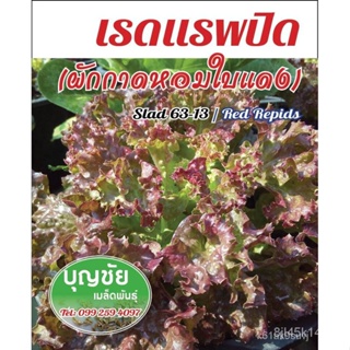 ผลิตภัณฑ์ใหม่ เมล็ดพันธุ์ เมล็ดพันธุ์คุณภาพสูงในสต็อกในประเทศไทย พร้อมส่ง ะให้ความสนใจของคุณเรดแรพปิด(ผักกาดหอมใ/ขายดี A