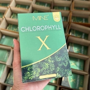 mine-chlorophyll-x-คลอโรฟิลล์เอ็กซ์-คลอโรฟิลล์มายมิ้น-pong-pom-ผงผอมมายมิ้น-รสน้ำผิ้งมะนาว-1-กล่องมี-5