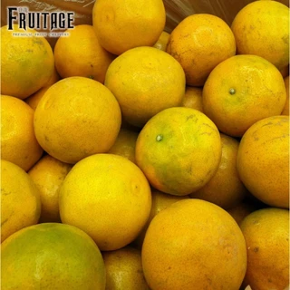 ส้มโชกุน ราคาพิเศษ | ซื้อออนไลน์ที่ Shopee ส่งฟรี*ทั่วไทย!
