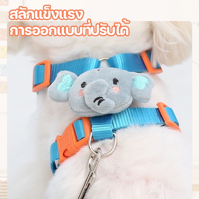 cod-สายจูงสัตว์เลี้ยง-สายจูงสุนัข-สายรัดอกสุนัข-สายจูงน่ารัก-สัตว์เลี้ยงอุปกรณ์เสริม-สายจูงแมว-สายจูงหมาเล็ก