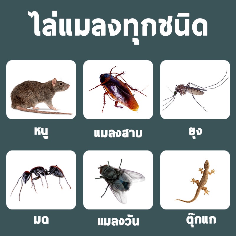 ไล่หนู-แมลงสาป-แมลงวัน-น้ำยาฉีดไล่หนู-ที่ไล่หนู-ยากำจัดหนูบ้าน-สเปไล่หนูในรถ-ยากำจัดหนูในรถ-น้ำยาไล่หนูรถ-สเปย์ไล่หนู