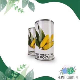 ผลิตภัณฑ์ใหม่ เมล็ดพันธุ์ จุดประเทศไทย ❤Condor Quality Seeds Hybrid Sweet Corn Sweet Royale F1 250 Minimum No.  /ขายด M3