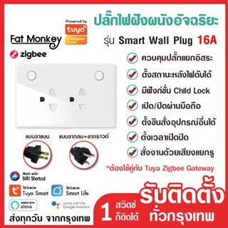 Tuya Zigbee Smart Wall Plug ปลั๊กไฟฝังผนัง แบบ 2 เต้าเสียบ 16A 220V รุ่น PW801 ทำงานร่วมกับ Zigbee Gateway รองรับ Alexa