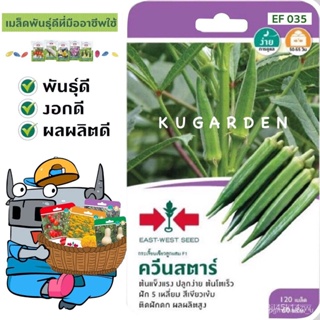 ผลิตภัณฑ์ใหม่ เมล็ดพันธุ์ จุดประเทศไทย ❤เมล็ดพันธุ์SORNDAENG  ผักซอง ศรแดง S035# กระเจี๊ยบ ควีนสตาร์ F1 เมล็ดอวบ/ขายดี G