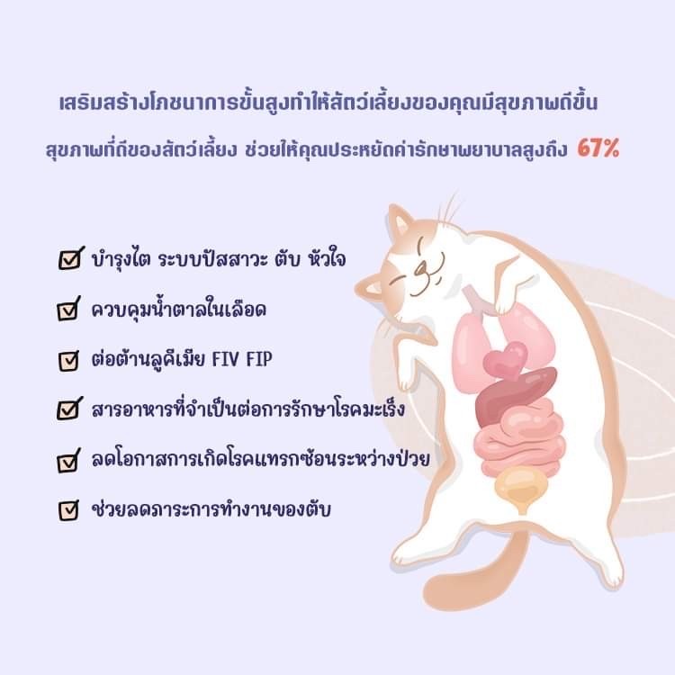 pet-in-9-by-sun-wonder-อาหารเสริมบำรุงไตและบรรเทาเบาหวานสัตว์เลี้ยง-หัวใจ-ตับ-ต่อต้านมะเร็ง