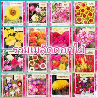ผลิตภัณฑ์ใหม่ เมล็ดพันธุ์ 2022เมล็ดพันธุ์ดอกไม้ เจียไต๋ เมล็ดดอกไม้ chia tai ดาวเรือง บานชื่น ทานตะวัน ดาวกระจาย พ/เ 1KA