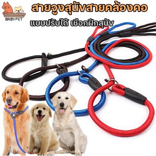 สินค้า 【T】BABY PET 🐶 สายจูงสุนัขสายคล้องคอแบบปรับได้ เชือกฝึกสุนัข สายจูง เชือกจูงสุนัข 🐕