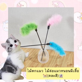 BN-397 ไม้ตกแมว ไม้ล่อแมวหนอนผีเสื้อ (คละสี) ของเล่นแมว  ยาว 50 cm. ราคาถูก พร้อมส่ง🙌🏻🙌🏻