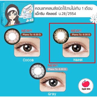 MAXIM CONTACT LENS สี Hazel เลนส์เล็กตัดขอบดำ DIA 14.0 คอนแทคเลนส์สี (กล่องฟ้า)