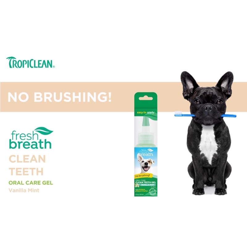เจลหยอดฟันสำหรับสุนัข-fresh-breath-clean-teeth-gel-เฟรชเบรธ-คลีน-เจลทำความสะอาดฟันสุนัข-เจลป้ายฟันสุนัข-ยาสีฟันหมา-สุนัข