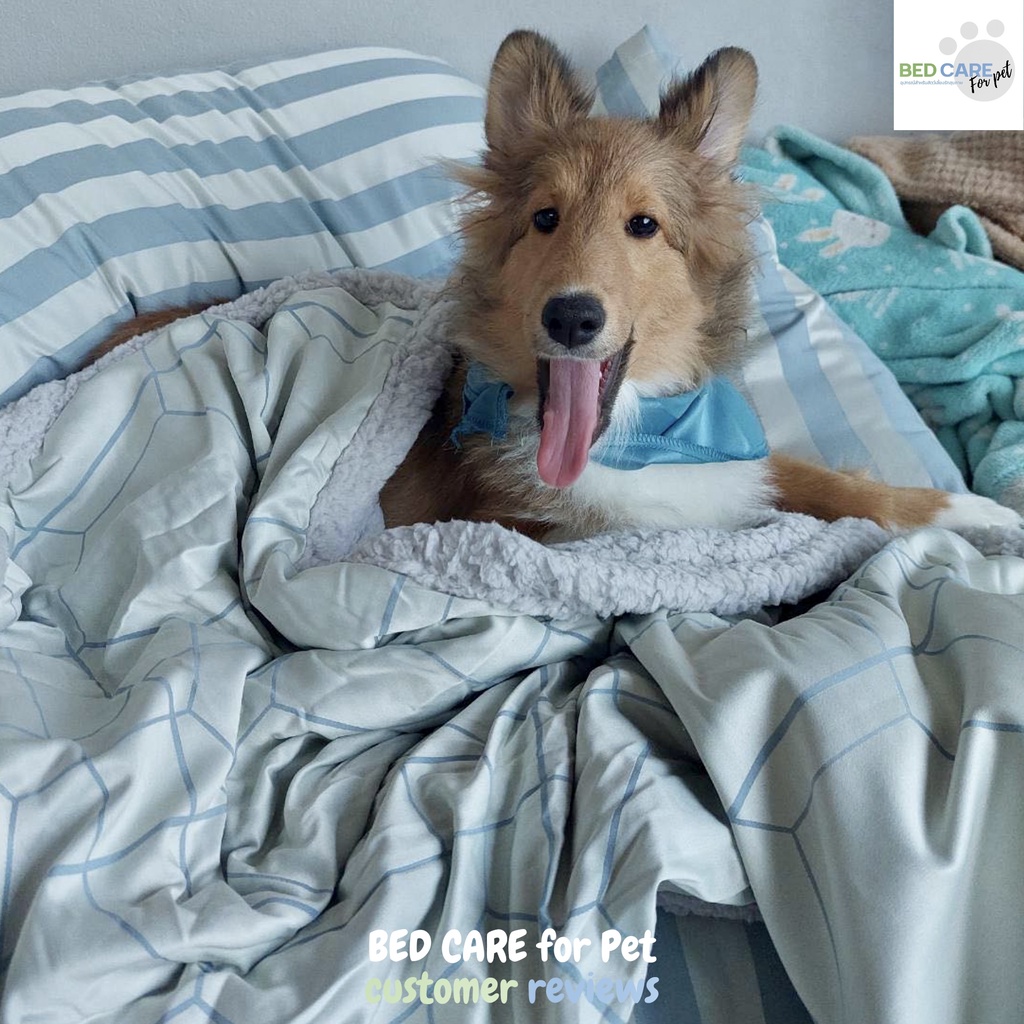 bed-care-for-pet-ผ้าห่มซุก-รุ่นสะท้อนน้ำ