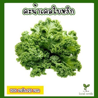 อินทรีย์ ใหม่ สายพันธุ์ จุดประเทศไทย ❤เมล็ดผัก คะน้าเคล ใบหงิก 100 เมล็ด 25 บาท งอกดีมีคู่มือการปลูก ( Kale )  //ขายดี B